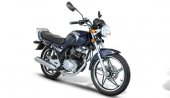 2008 Giantco Hunter City125 photo